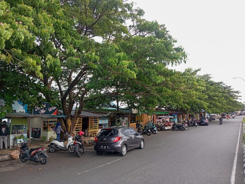 c09bf372-1037-4edb-aa66-29d91575ddca