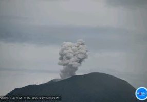 d9f1e638-3544-4b14-bf86-9075154c14e6